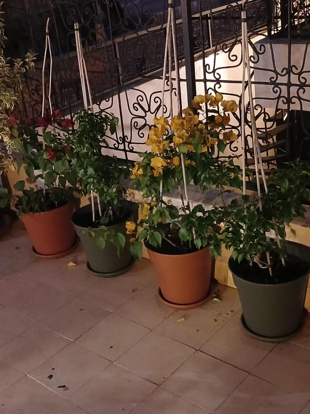 Riad Dantella Marakéš Exteriér fotografie
